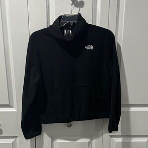 The North Face Black Fleece Pullover